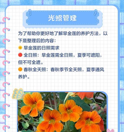 莲花种植的步骤和养护要点是什么？