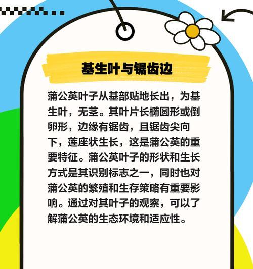 蒲公英的外观特征是什么？