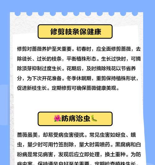 蔷薇花的种植技巧和管理方法有哪些？