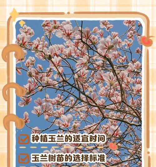 玉兰树种植的最佳季节和方法？