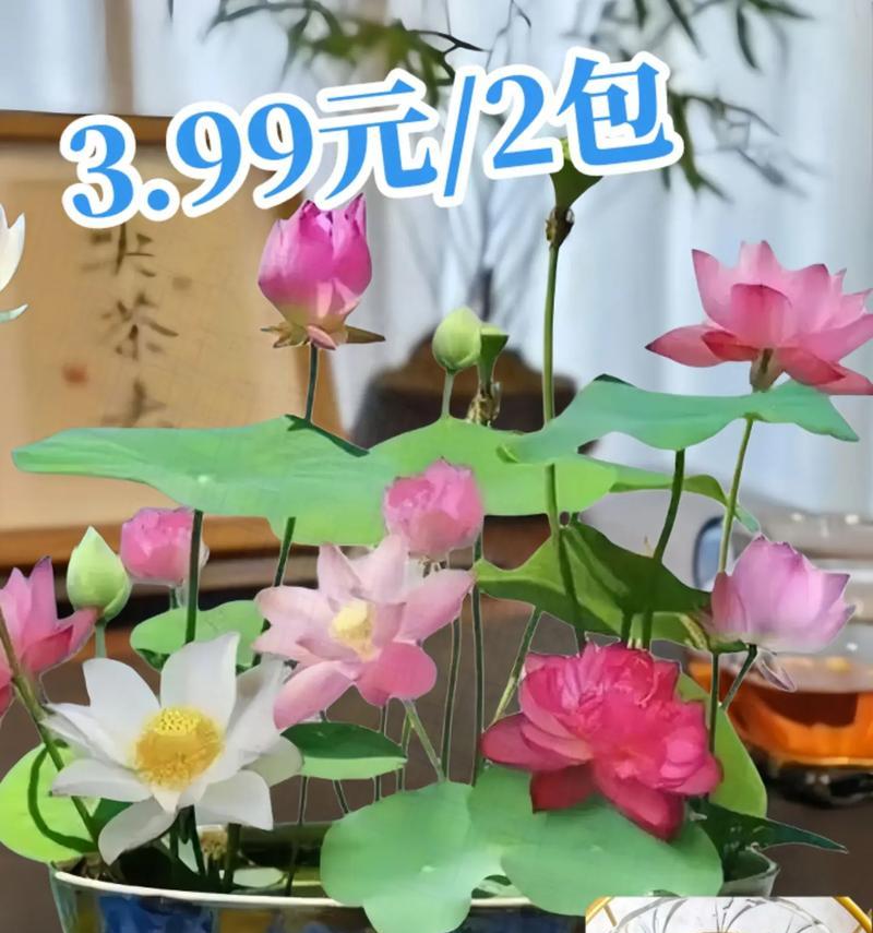不同花卉对水质的要求有哪些？