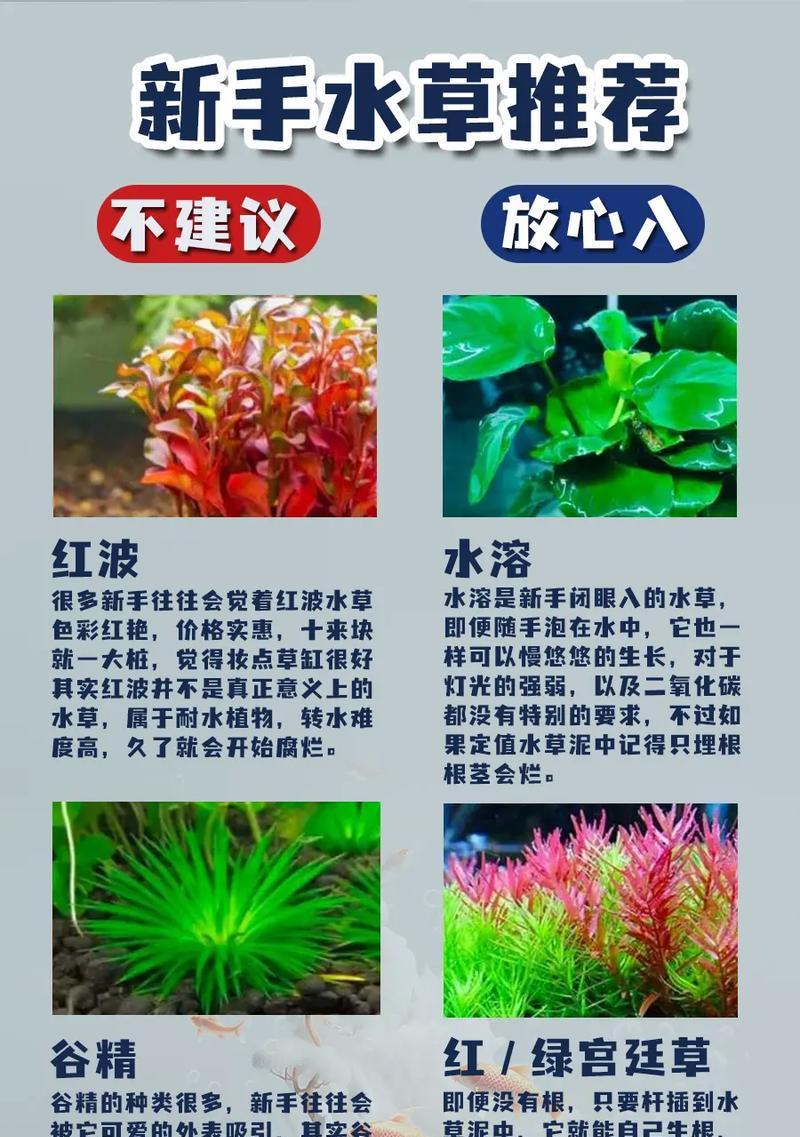不同花卉对水质的要求有哪些？
