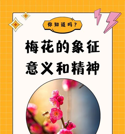 梅花繁殖的常见方法是什么？
