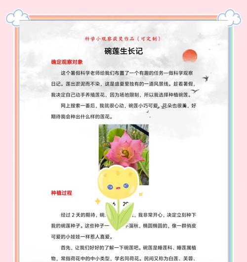 碗莲的根系特征是什么？如何观察碗莲根的健康状况？