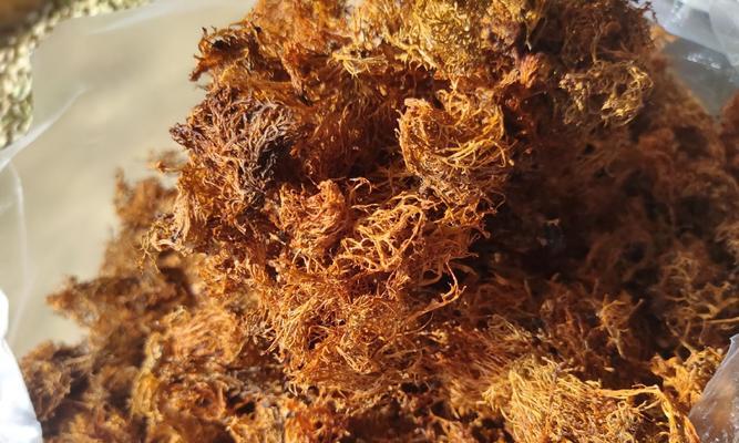 树花品种有哪些？如何选择适合的树花品种？