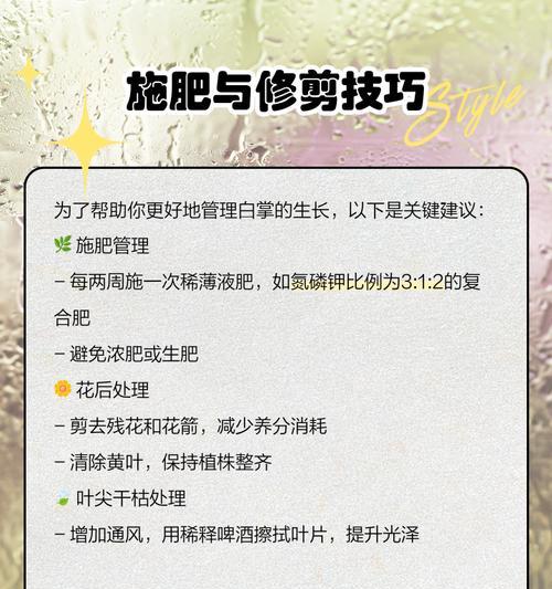 白掌施肥的最佳时间和方法是什么？