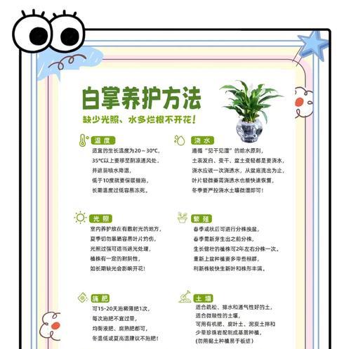 白掌修剪的最佳时机和技巧是什么？