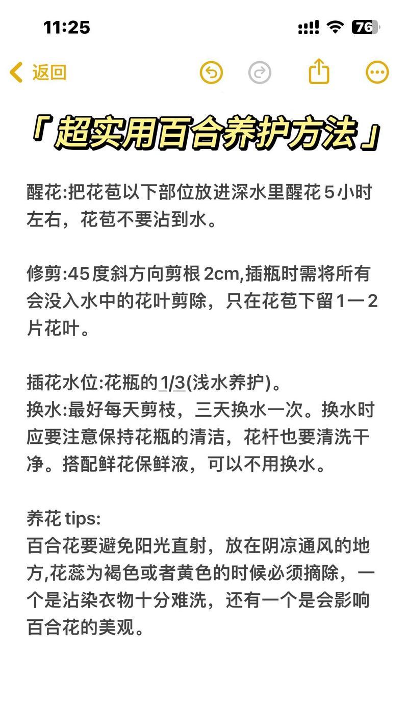 百合花冬季怎么养殖？冬季养护百合的技巧是什么？