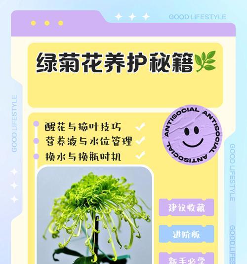 若绿的繁殖方法有哪些？怎样进行有效繁殖？