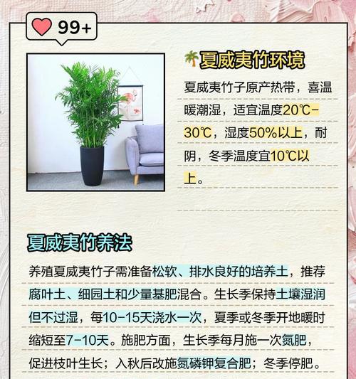 弯竹的养殖方法和注意事项是什么？