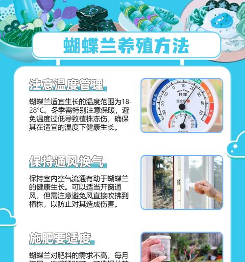 蝴蝶兰养殖的常见问题及解决方法是什么？