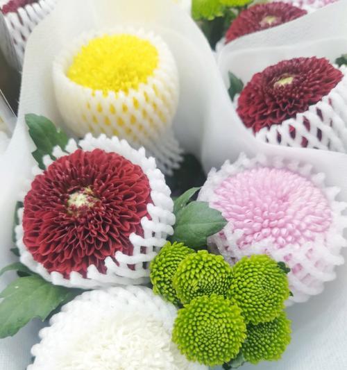 云南鲜花品种有哪些？云南鲜花品种的独特之处在哪里？