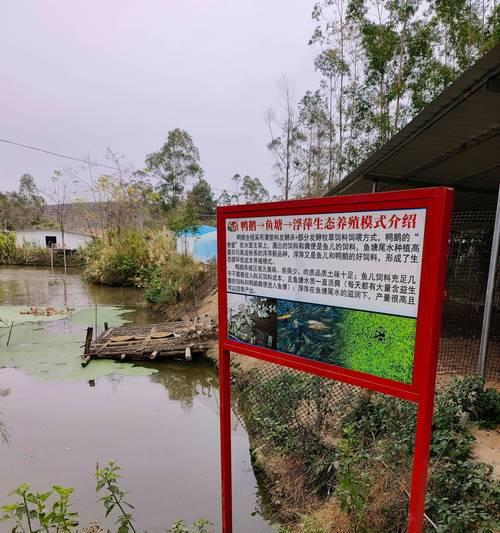 大浮萍的养殖条件是什么？如何保持大浮萍的健康生长？