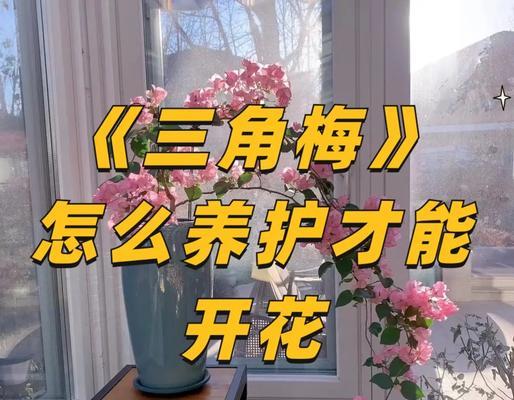 刺梅不开花的原因和解决方法是什么？