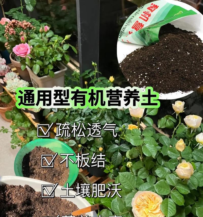 养花的土壤选择技巧？哪种土壤最适合花卉生长？