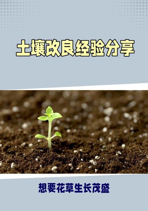 养花的土壤选择技巧？哪种土壤最适合花卉生长？
