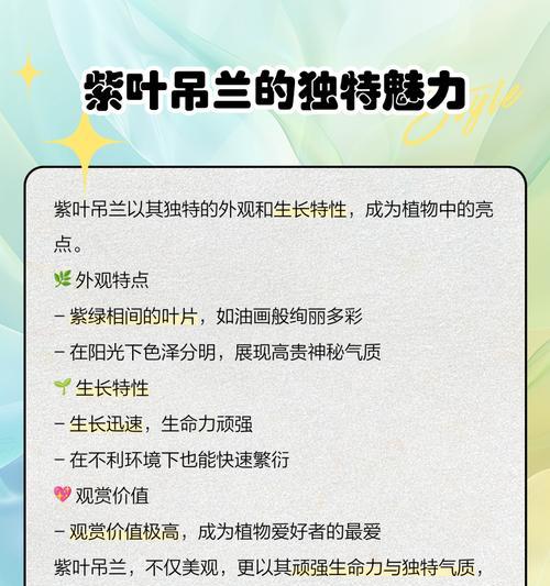 吊兰有多少品种？吊兰品种间的区别在哪里？