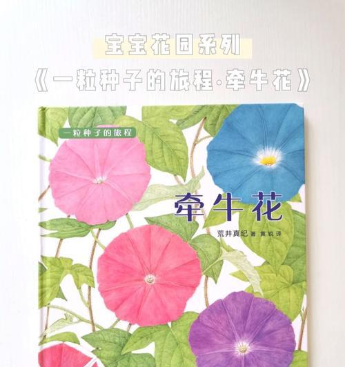 牵牛花扦插繁殖的正确方法是什么？