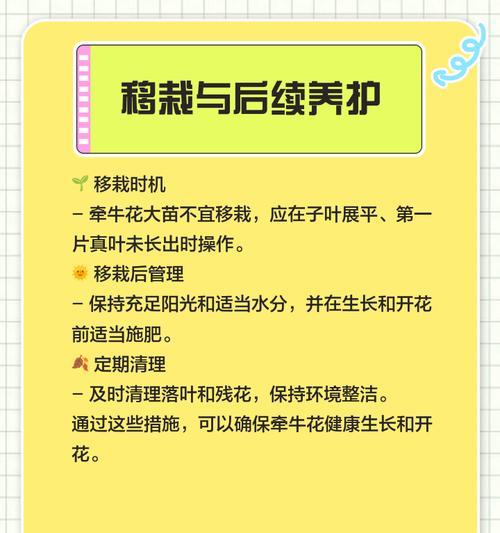 牵牛花扦插繁殖的正确方法是什么？