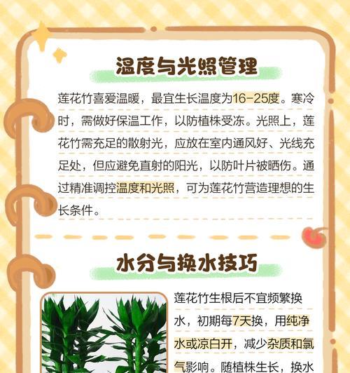 水养莲花的养护技巧是什么？怎样才能养出水灵灵的莲花？