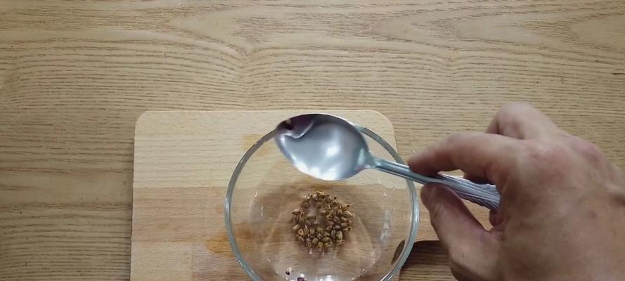 葡萄树繁殖的简易方法？