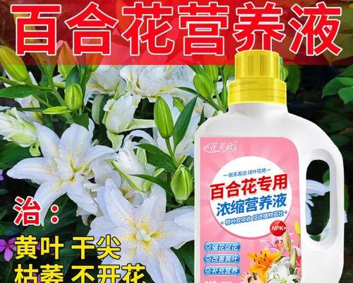 花卉液体肥料使用指南？怎样正确施肥？