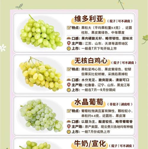 树葡萄养护方法是什么？如何确保其健康成长？