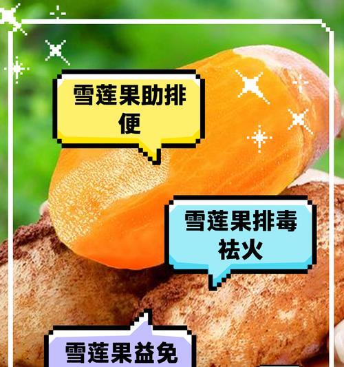雪莲有几个品种？它们的生长环境和药用价值是什么？