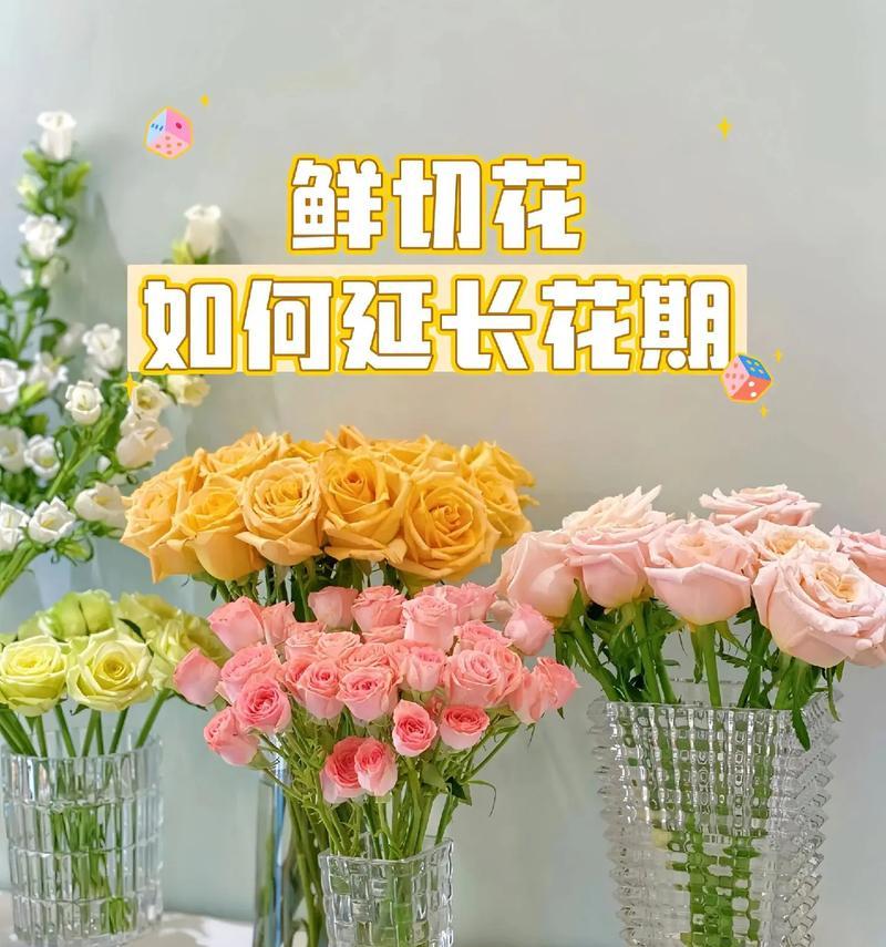 花卉养护有哪些常用方法？怎样延长花期？