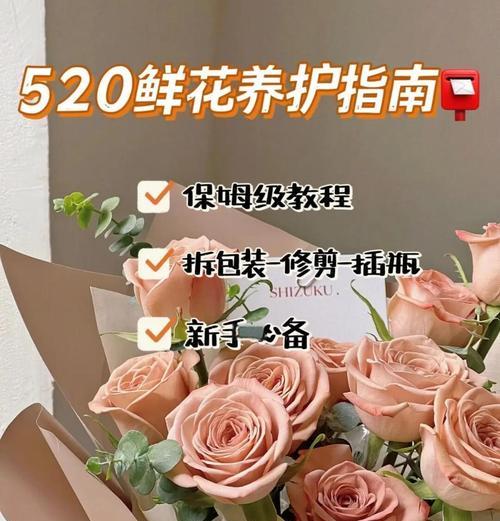 花卉养护有哪些常用方法？怎样延长花期？