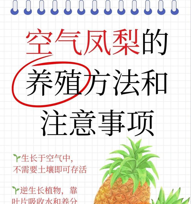 空气凤梨冬季养护需要注意什么？怎样避免冻害？