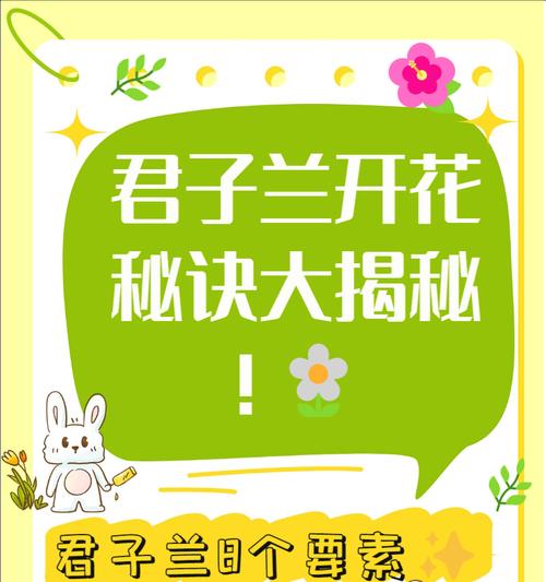 君子兰幼苗施肥的正确方法是什么？怎样才能促进其健康成长？