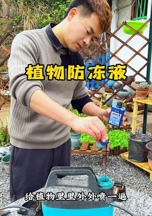植物冻伤后的急救措施有哪些？