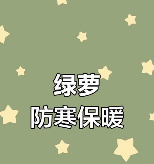 绿萝冬季养护技巧有哪些？怎样避免冻害？