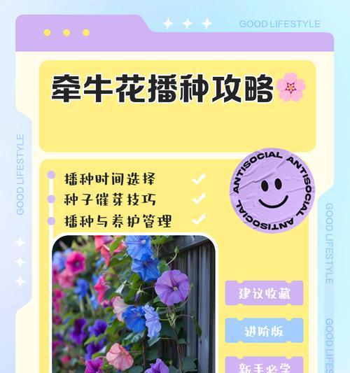 矮牵牛修剪的最佳时机和方法是什么？