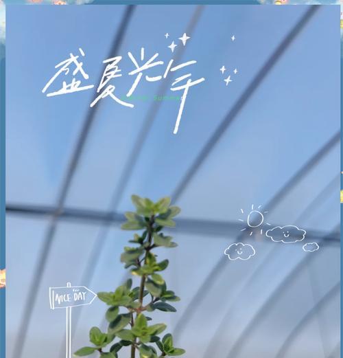 百里香有多少种品种？它们的用途和特性是什么？