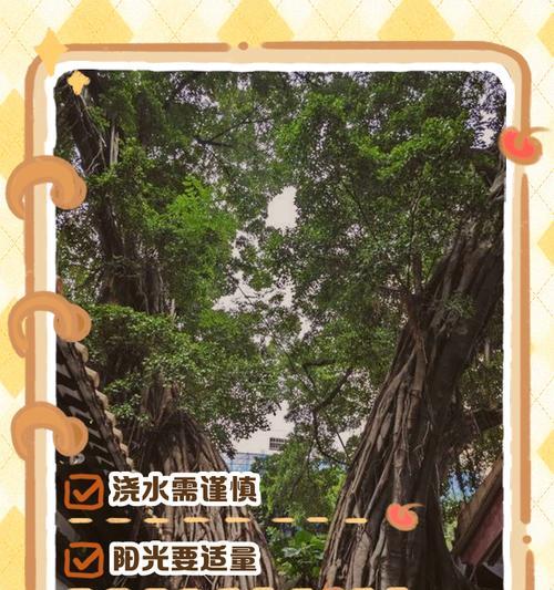 榕树盆景施肥的正确方式是什么？如何科学施肥以促进榕树盆景生长？