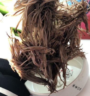 水仙花烂根后如何挽救？