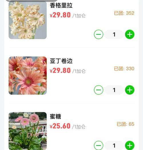非洲菊的种植方法和注意事项是什么？