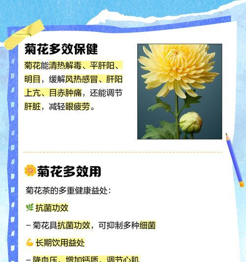 菊花的养殖技巧和常见问题解答？