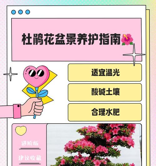 杜鹃花换盆的最佳时间是什么时候？