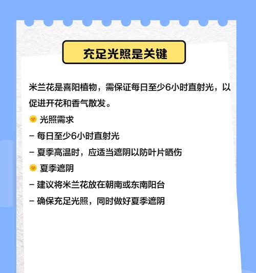 米兰花的香味如何？如何进行修剪和繁殖？