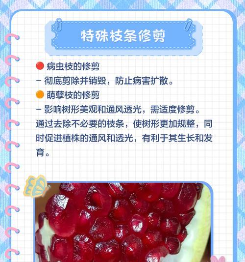 盆栽石榴的养护和管理技巧是什么？