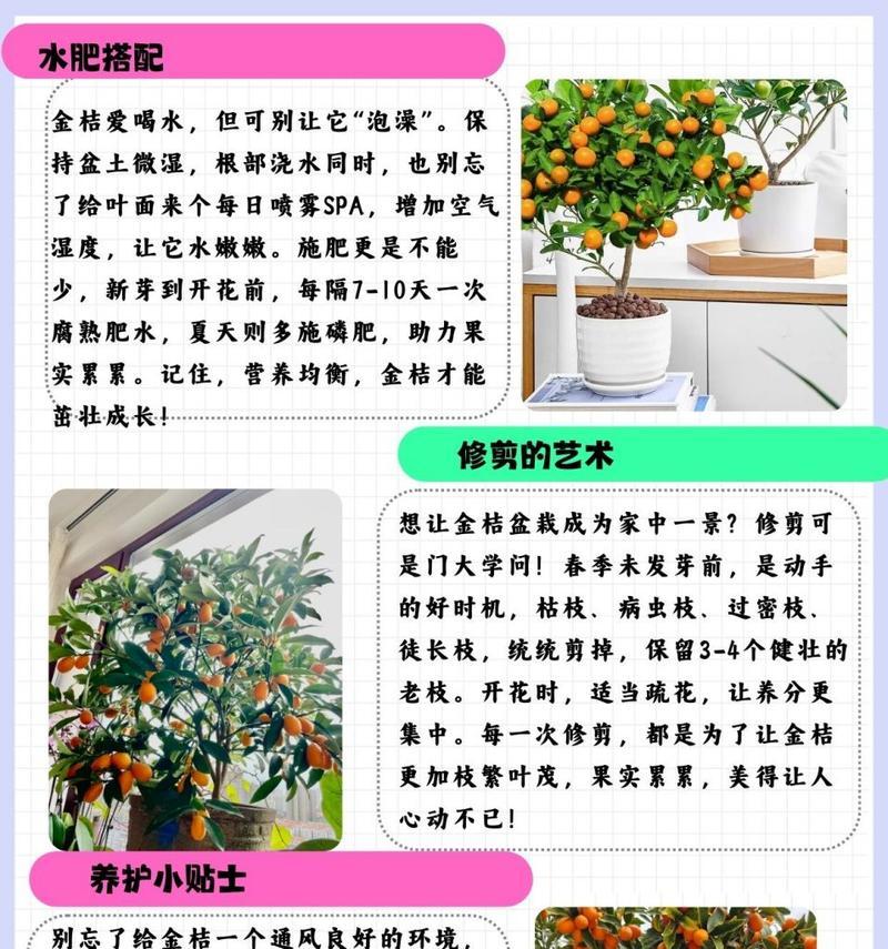盆景的栽培技巧有哪些？