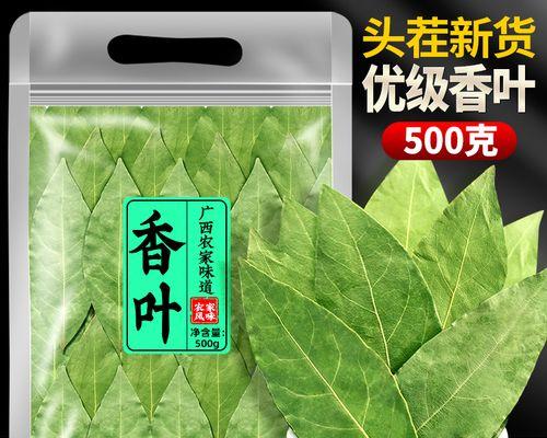 月桂怎么繁殖？月桂的繁殖方法和注意事项有哪些？