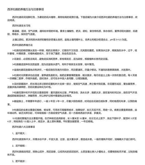 杜鹃花的养护技巧和注意事项是什么？