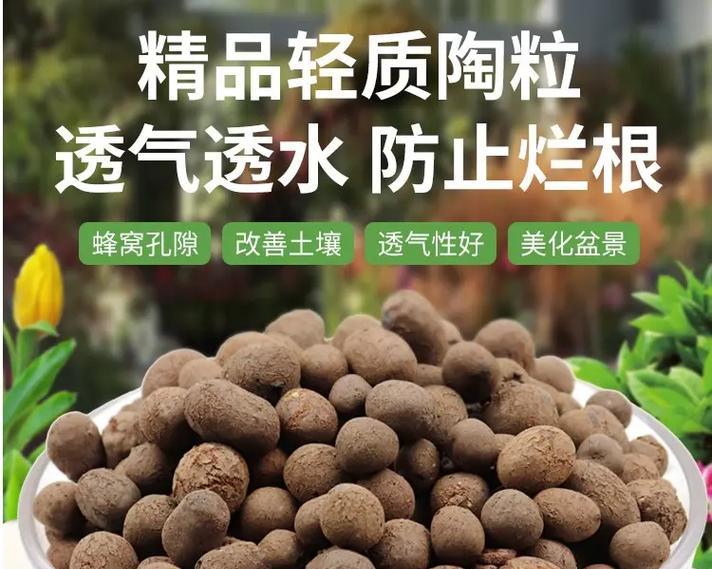 陶粒养花的优势是什么？如何正确使用陶粒作为培养基？