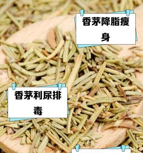 香茅的养殖方法是什么？如何保持其健康生长？