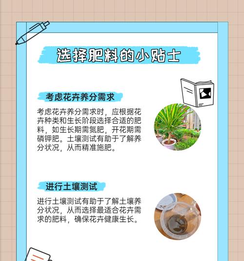 自制花卉肥料的方法有哪些？哪种肥料最适合花卉？