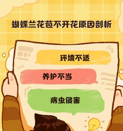 蝴蝶兰花苞生长时间：何时开始长花苞？